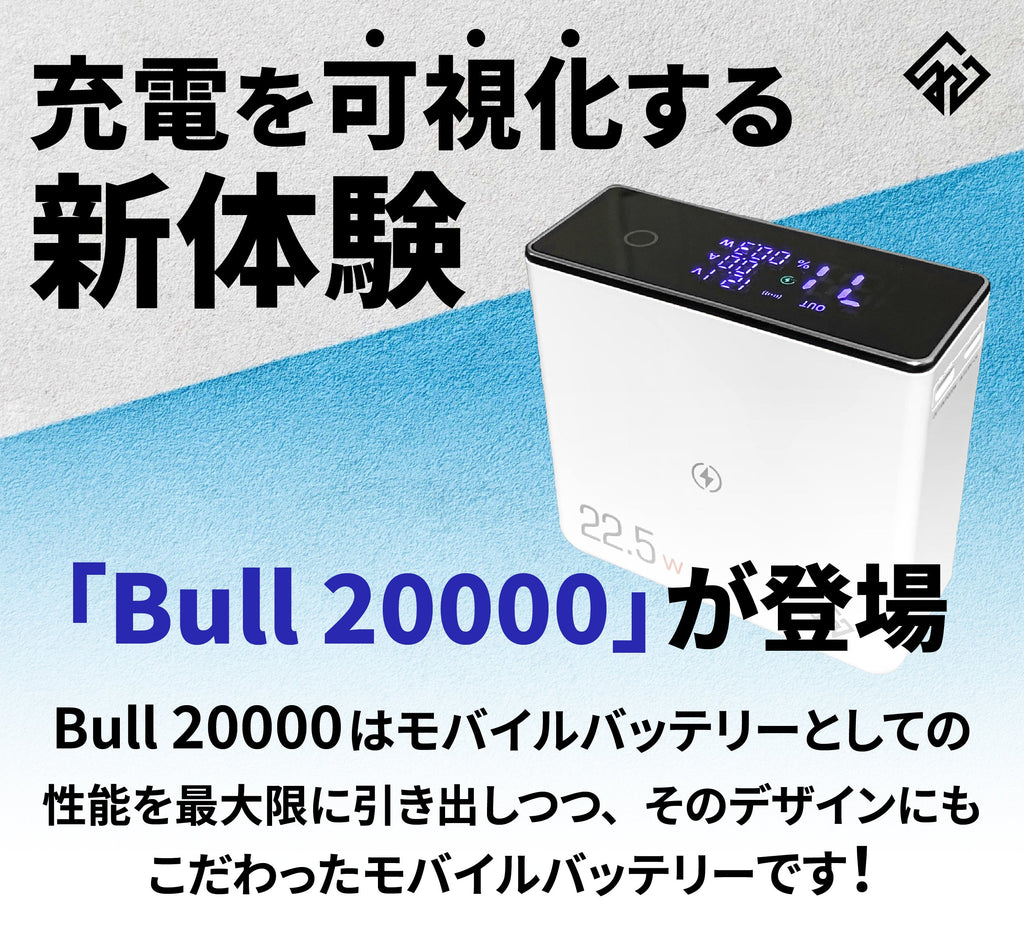 Bull 20000